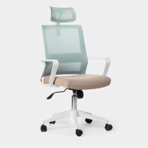 Con la silla de escritorio Leima en menta y beige conseguirás crear un espacio de trabajo cómodo y saludable. Se trata de una silla ergonómica que te permitirá trabajar cómodamente durante muchas horas. Cuenta con refuerzo lumbar